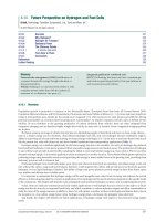 Volume 4 fuel cells and hydrogen technology 4 14 – future perspective on hydrogen and fuel cells