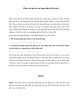 Phân tích dự án xây dựng khu đô thị mới