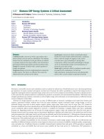 Volume 5 biomass and biofuel production 5 07 – biomass CHP energy systems a critical assessment