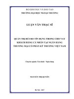 Quản trị rủi ro tín dụng trong cho vay khách hàng cá nhân tại Ngân hàng Thương mại Cổ phần Kỹ thương Việt Nam (LV thạc sĩ)