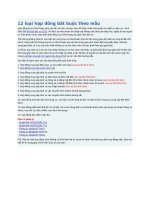 12 loại hợp đồng bắt buộc theo mẫu