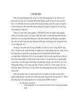 THIẾT KẾ PHÂN XƯỞNG SẢN XUẤT PHÂN BÓN SUPE PHOTPHAT ĐƠN  TB THÙNG HÓA THÀNH