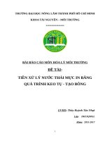 TIỀN XỬ LÝ NƯỚC THẢI MỰC IN BẰNG QUÁ TRÌNH KEO TỤ  TẠO BÔNG