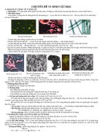 chuyen de vi sinh vat 1