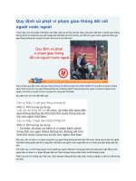 Quy định xử phạt vi phạm giao thông đối với người nước ngoài