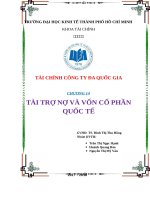 Tiểu luận tài chính công ty đa quốc gia tài trợ nợ và vốn cổ phần quốc tế 