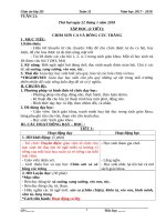 Tuần 21 giáo án lớp 2 soạn theo định hướng phát triển năng lực học sinh