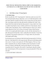 Phân tích sự thành công trong chiến lược marketing sản phẩm của cà phê trung nguyên so với các đối thủ cạnh tranh