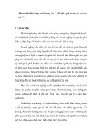 Phân tích chiến lược marketing của 2 đối thủ cạnh tranh và so sánh với g7