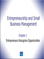 Entrepreneurship and small business management chapter  01 