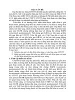 Nghiên cứu đặc điểm lâm sàng, cận lâm sàng và tình trạng đột biến gen KRAS trong ung thư đại trực tràng tại bệnh viện k (tt) 