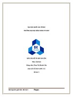 báo cáo bài tập lớn giải tích