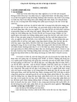 sáng kiến kinh nghiệm hệ thống câu hỏi và bài tập về đột biến 