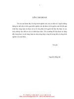 Ảnh hưởng của trách nhiệm xã hội doanh nghiệp tới lòng trung thành của khách hàng nghiên cứu trong ngành thức ăn chăn nuôi tại miền bắc việt nam 