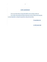 Giải pháp phát triển dịch vụ Ngân hàng bán lẻ tại Ngân hàng đầu tư và phát triển – Chi nhánh Quảng Trị
