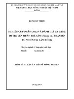 Nghiên cứu phân loại và đánh giá đa dạng di truyền quần thể sâm (Panax sp.) phân bố tự nhiên tại Lâm Đồng (tt)