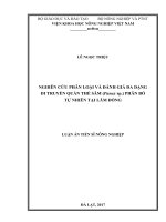 Nghiên cứu phân loại và đánh giá đa dạng di truyền quần thể sâm (panax sp ) phân bố tự nhiên tại lâm đồng