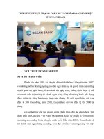 Phân tích thực trạng vấn đề văn hóa doanh nghiệp ở ocean bank giải pháp và thực hiện 