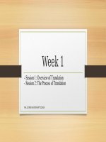 BÀI GIẢNG LÝ THUYẾT DỊCH TUẦN 1