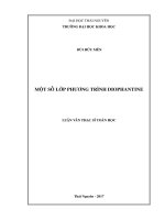 Một số lớp phương trình diophantine 