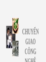 TÌNH HÌNH HOẠT ĐỘNG CHUYỂN GIAO CÔNG NGHỆ Ở VIỆT NAM