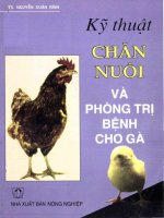 Kỹ thuật chăn nuôi và phòng trị bệnh cho gà 