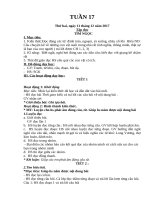 Giáo án lớp 2 soạn theo phương pháp đổi mới tuần 17