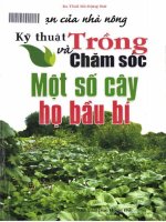 Kỹ thuật trồng và chăm sóc một số cây họ bầu bí 