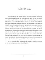 KHÓA LUẬN TỐT NGHIỆP ĐẠI HỌC NGÀNH THƯ VIỆN