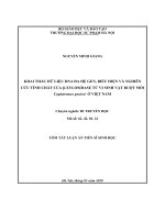 KHAI THÁC dữ LIỆU DNA đa hệ GEN, BIỂU HIỆN và NGHIÊN cứu TÍNH CHẤT của β XYLOSIDASE từ VI SINH vật RUỘT mối coptotermes gestroi ở VIỆT NAM (tt) 