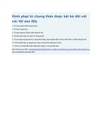 Hình phạt tù chung thân được bãi bỏ đối với các tội sau đây