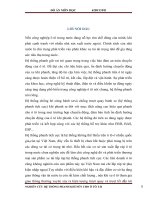 đồ án kết cấu tính toán hệ thống phanh