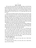 Nghiên cứu đặc điểm lâm sàng và điều trị rối loạn trầm cảm ở bệnh nhân lupus ban đỏ hệ thống