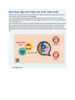 Nơi thực tập phù hợp cho sinh viên luật