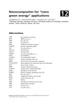 Bioenergy systems for the future 12   nanocomposites for “nano green energy” applications