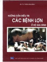 Hướng dẫn điều trị các bệnh lợn ở hộ gia đình 