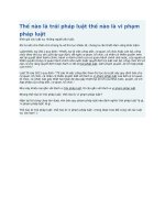 Thế nào là trái pháp luật thế nào là vi phạm pháp luật