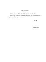 Chiến lược marketing cho sản phẩm ống nhựa của công ty TNHH hóa nhựa đệ nhất tại thị trường miền trung