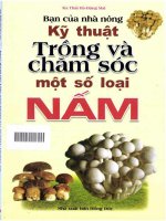 Kỹ thuật trồng và chăm sóc một số loại nấm 