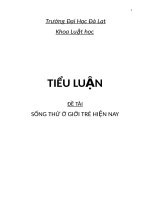 Tiểu luận Sống thử ở giới trẻ hiện nay