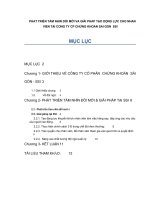 Phát triển tầm nhìn đổi mới và giải pháp tạo động lực cho nhân viên tại công ty CP Chứng khoán Sài Gòn  SSI