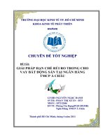 Giải pháp hạn chế rủi ro trong cho vay bất động sản tại ngân hàng thương mại cổ phần á châu 