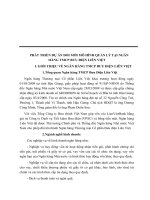 PHÁT TRIỂN DỰ ÁN ĐỔI MỚI MÔ HÌNH QUẢN LÝ TẠI NGÂN HÀNG TMCP BƯU ĐIỆN LIÊN VIỆT