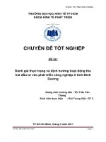 Đánh giá thực trạng và định hướng hoạt động thu hút đầu tư vào phát triển công nghiệp ở tỉnh bình dương