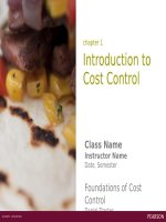 Foundations of cost control by daniel traster chapter01 