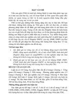 Nghiên cứu giá trị của siêu âm Doppler động mạch tử cung, động mạch não, động mạch rốn thai nhi và thử nghiệm nhịp tim thai không kích thích trong tiên lượng thai nhi ở thai phụ TSG (TT)