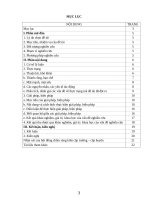 SKKN Công tác chủ nhiệm trong Mô hình trường học mới VNEN