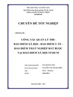 Công tác quản lý thu bảo hiểm xã hội   bảo hiểm y tế   bảo hiểm thất nghiệp bắt buộc tại bảo hiểm xã hội TPHCM