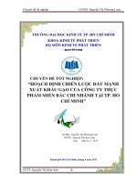 Hoạch định chiến lược đẩy mạnh xuất khẩu gạo của công ty thực phẩm miền bắc chi nhánh tại TPHCM 