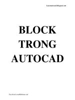 BLOCK TRONG AUTOCAD  PHAN MINH TÂN